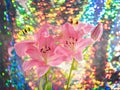 Beautiful flowers of lillies on colored background background. Royalty Free Stock Photo