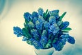 Beautiful flowers made with color filters Royalty Free Stock Photo