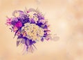 Beautiful flowers made with color filters Royalty Free Stock Photo