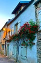 Beautiful flowers in the village of Semur en Auxois in Bourgogne