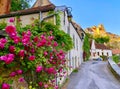 Beautiful flowers in the village of Semur en Auxois in Bourgogne