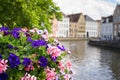 Beautiful flowers near a canal in Brugge Royalty Free Stock Photo