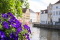 Beautiful flowers near a canal in Brugge Royalty Free Stock Photo