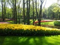 Beautiful park with lake and flowers, Keukenhof, Netherlands Royalty Free Stock Photo