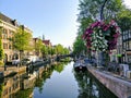 Beautiful flowers over a water canal
