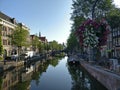 Beautiful flowers over a water canal