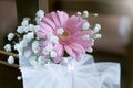 Beautiful flowers of pink Gerbera daisies Royalty Free Stock Photo