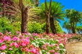 Beautiful flowers,plants and trees,Rufolo garden,Ravello,Italy,Europe