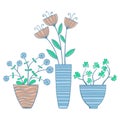 Beautiful Flowers In Pots, Vector Illustration.