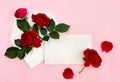 Beautiful flowers red roses in postal envelope and blank sheet with space for text and red petal roses on a pink paper background Royalty Free Stock Photo