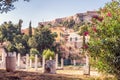 Beautiful flowers on the Roman Agora in summer, Athens, Greece Royalty Free Stock Photo