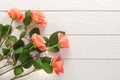 Beautiful flowers of roses on a light tree