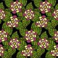 Beautiful Flowers set. Vector seamless pattern Royalty Free Stock Photo