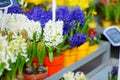 Beautiful flowers sold on outdoor flower shop