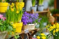 Beautiful flowers sold on outdoor flower shop