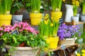 Beautiful flowers sold on outdoor flower shop