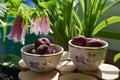 Beautiful flowers of spotted bellflower and fresh cherries in small bowls. Fairy breakfast in summer garden