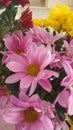 Beautiful flowers, spring birthday bouquet, daisies