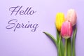 Beautiful flowers and text Hello Spring on color background Royalty Free Stock Photo