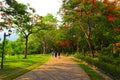 Beautiful flowers and tree forest landscaped in the public garden in the summer