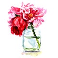 Beautiful flowers in vase isolated