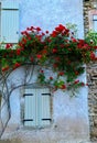 Beautiful flowers in the village of Semur en Auxois in Bourgogne