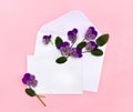 Beautiful flowers viola tricolor pansy in postal envelope and blank sheet with space for text on a pink paper background