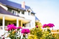 beautiful flowers in the yard with bokeh house in background , blue sky