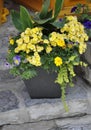 Quebec, 28th June: Close up Flowerspot Arrangement from Rue du Champlain in Old Quebec City in Canada