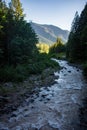 Beautiful flowing creek in Central Oregon as sunset hits, near Lolo Pass