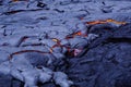 Flowing lava in Hawaii Royalty Free Stock Photo