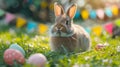 A beautiful fluffy Easter bunny hides colorful eggs in the green grass and looks at the camera Royalty Free Stock Photo