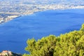 Beautiful fluffy fir branch with cones under the golden sun against the backdrop of the sea of blue Corinthian Gulf Royalty Free Stock Photo