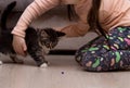 Beautiful fluffy kitten multicolor playing with baby on the floor