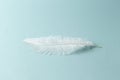 Beautiful fluffy long white feather on a blue background. Royalty Free Stock Photo