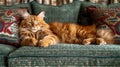 A beautiful fluffy red cat lies on a green sofa. Royalty Free Stock Photo