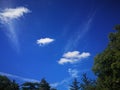 Beautiful fluffy white small white clouds in deep blue sky over forest green trees Royalty Free Stock Photo