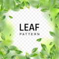 Flying Green Leaf Vortex Vector Realistic 3d Illustration Royalty Free Stock Photo