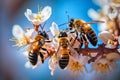 Beautiful flying group of bees on a flower collecting pollen at and cherry blossom branch. generative AI