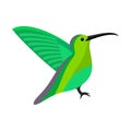 Beautiful flying hummingbird flat style vector illustration Royalty Free Stock Photo