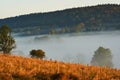 Beautiful fog in the morning. Trees covered in clouds. Hills in the Beskids, Poland Royalty Free Stock Photo