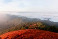 Beautiful Fog at the top of the mountain Before sunrise Royalty Free Stock Photo