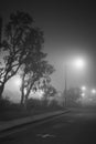 A beautiful foggy evening Royalty Free Stock Photo