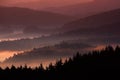 Beautiful foggy landscape. Cold misty foggy morning with twilight sunrise in a fall valley of Bohemian Switzerland park. Hills wit Royalty Free Stock Photo