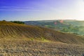 Fresh Green tuscany landscape at sunrise, vine region of Italy Royalty Free Stock Photo