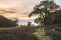 Beautiful foggy misty Autumn sunrise over countryside surrounding Crummock Water in Lake District in England Royalty Free Stock Photo