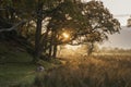 Beautiful foggy misty Autumn sunrise over countryside surrounding Crummock Water in Lake District in England Royalty Free Stock Photo