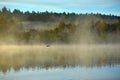 Stunning foggy sunrise .Lithuanian landscape