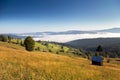 Beautiful foggy morning in the romanian village