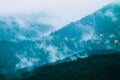 Beautiful foggy mystic mountains. Fog clouds at the pine tree my Royalty Free Stock Photo